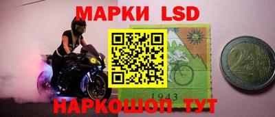 индика Ставрополь