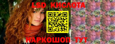 индика Ставрополь