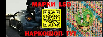 индика Ставрополь