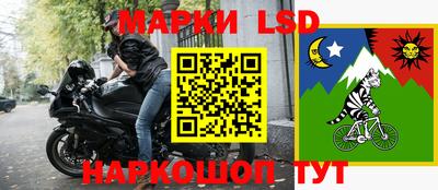 индика Ставрополь