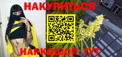 индика Ставрополь