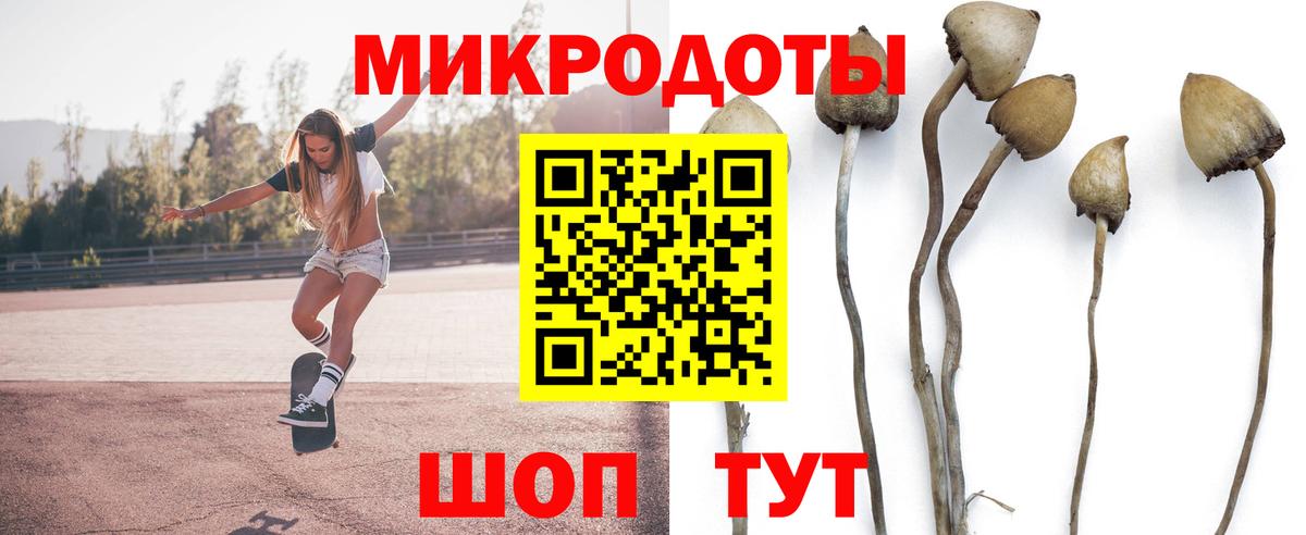Осинники  Галлюциногенные грибы Psilocybine cubensis  Галлюциногенные грибы мицелий  Вход с VPN 